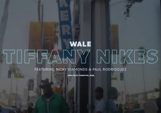 Wale Raps About Diamond SB Dunks In Newest Tiffany Nikes Single