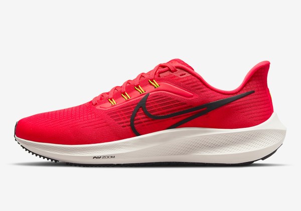 Nike Pegasus 39 Release Date | SneakerNews.com