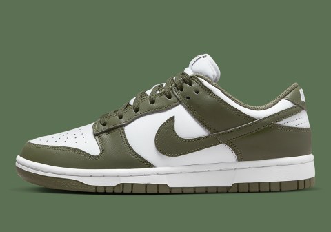 Nike Dunk Low Medium Olive Dd1503-120 Release Info 