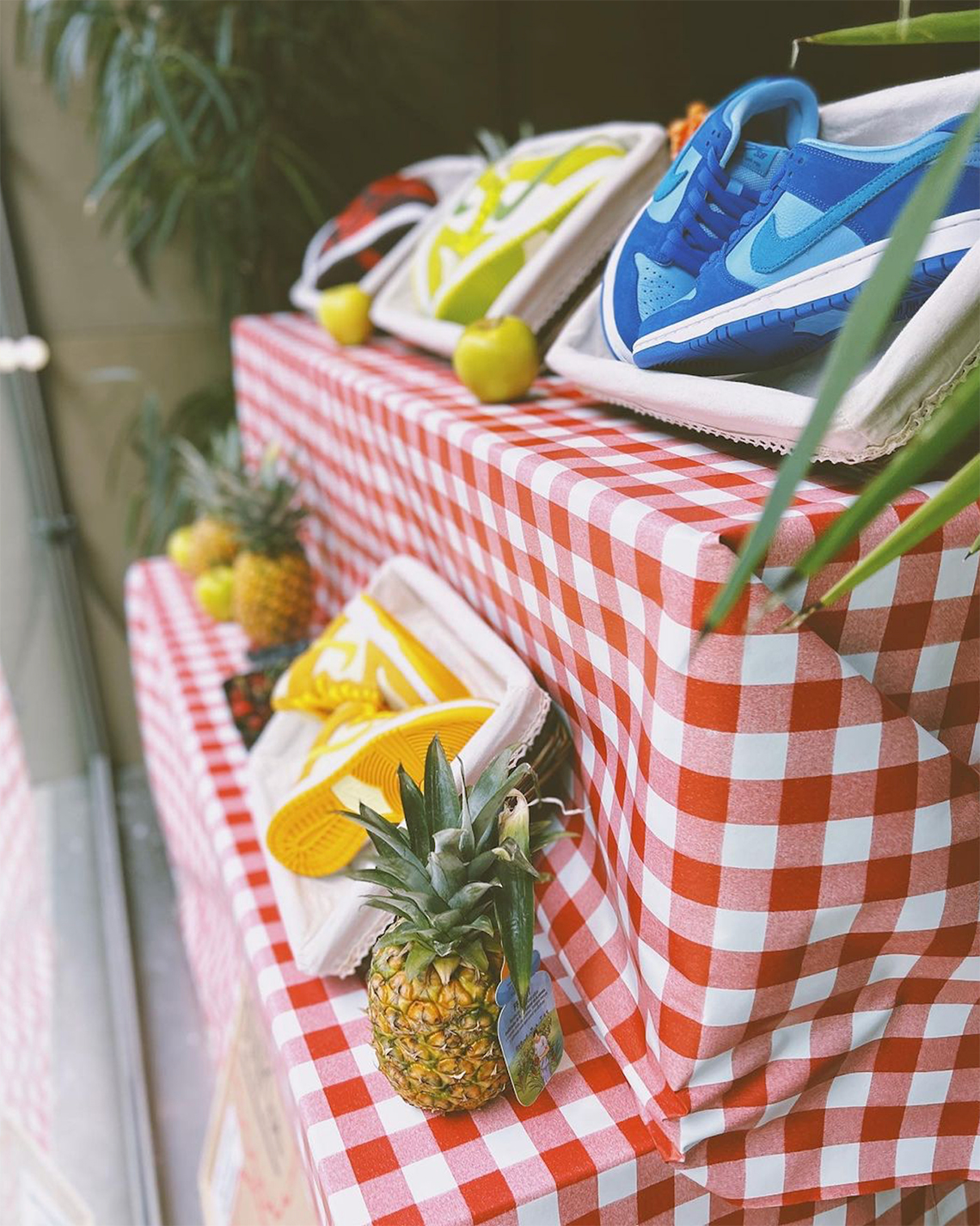 Nike Sb Dunk Fruit Pack 7