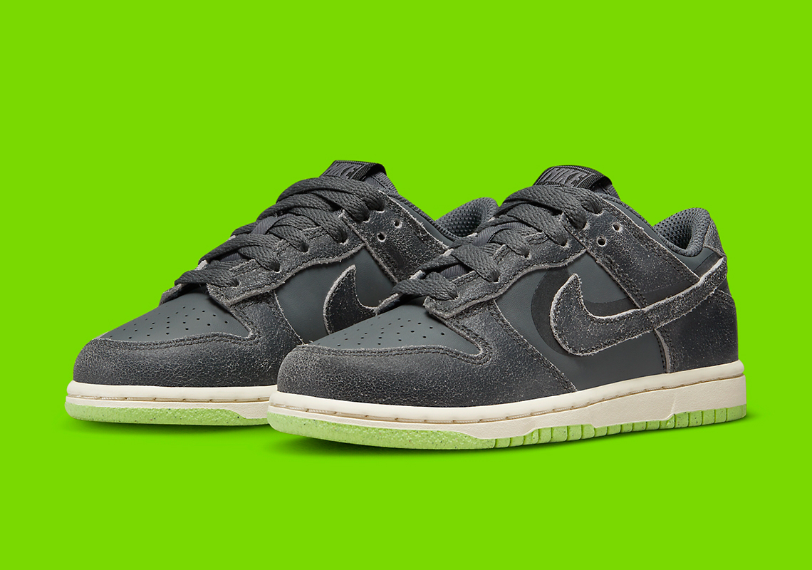nike dunk low ps DQ6216 001