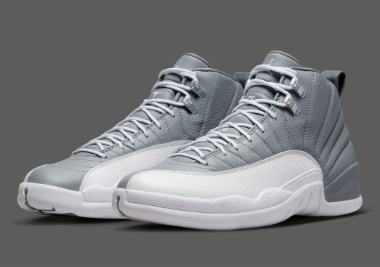 Official Images Of The Air Jordan 12 “Stealth”