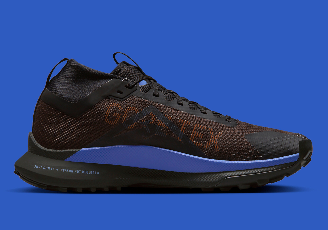 Nike Pegasus Trail 4 GORE-TEX Release Date | SneakerNews.com
