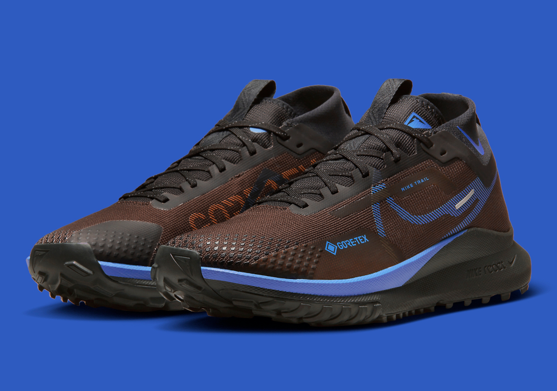 NIKE PEGASUS TRAIL 4 GORE TEX: ZAPATILLAS RUNNING GTX INVISIBLE