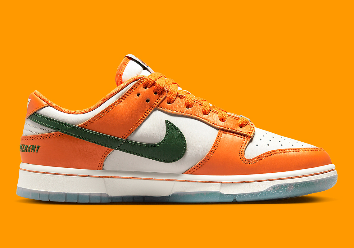 famu nike dunks