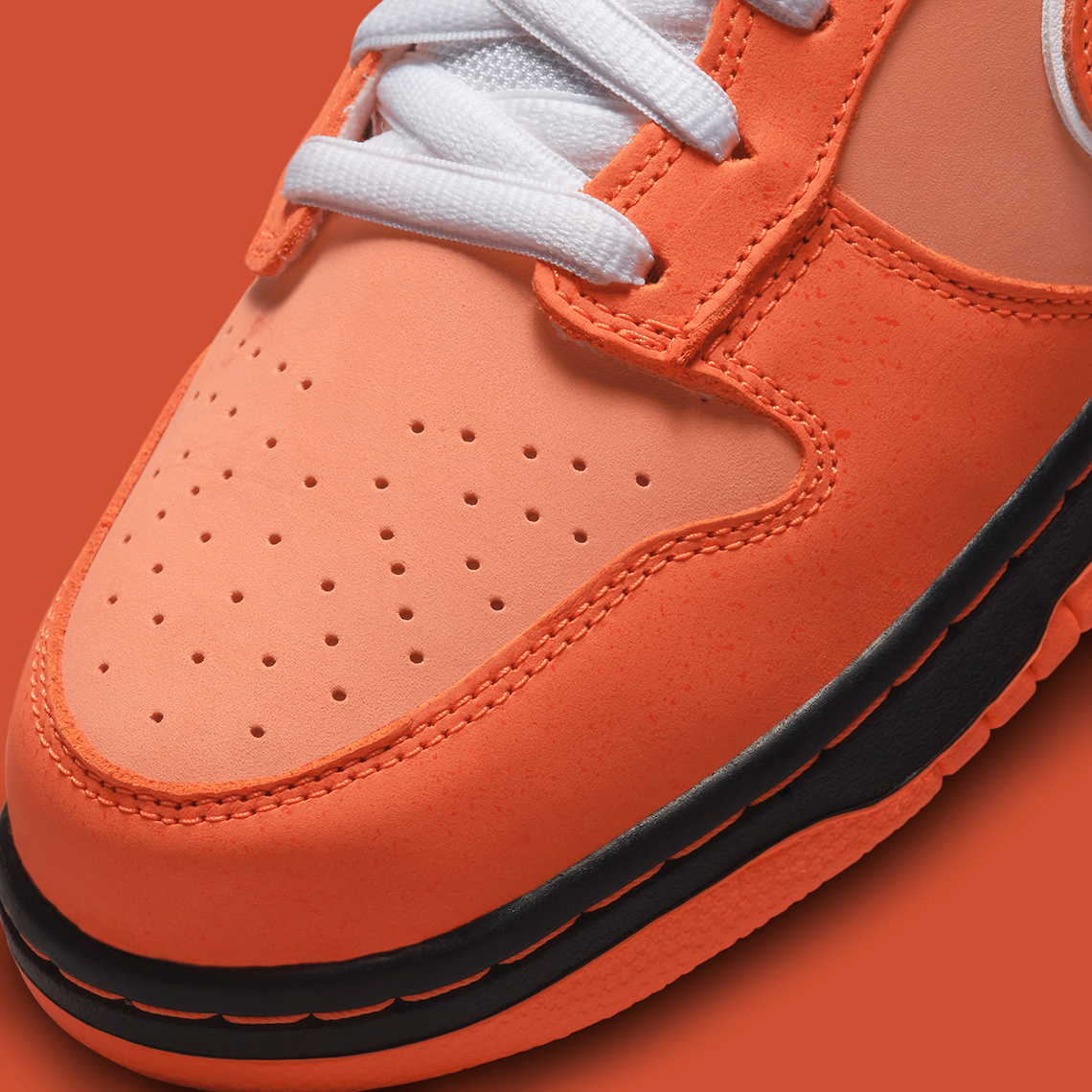 Concepts and Nike SB Dunk Low Orange Lobster 6