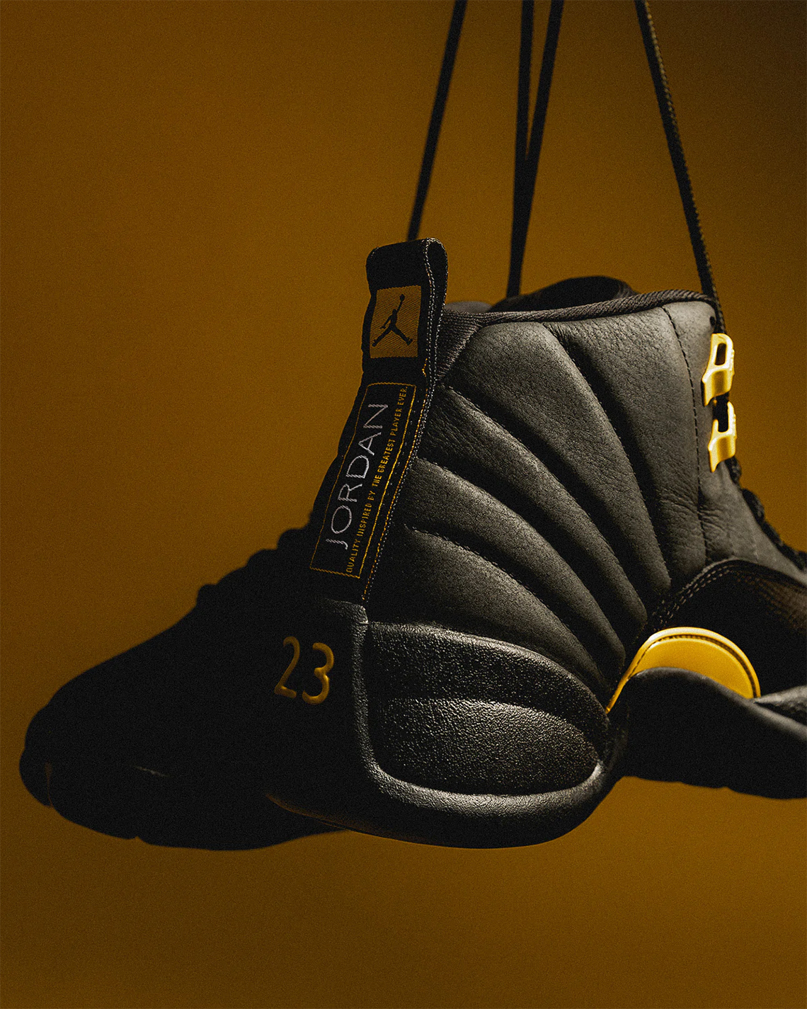 Air Jordan 12 