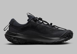 Nike ACG Mountain Fly 2 Low 