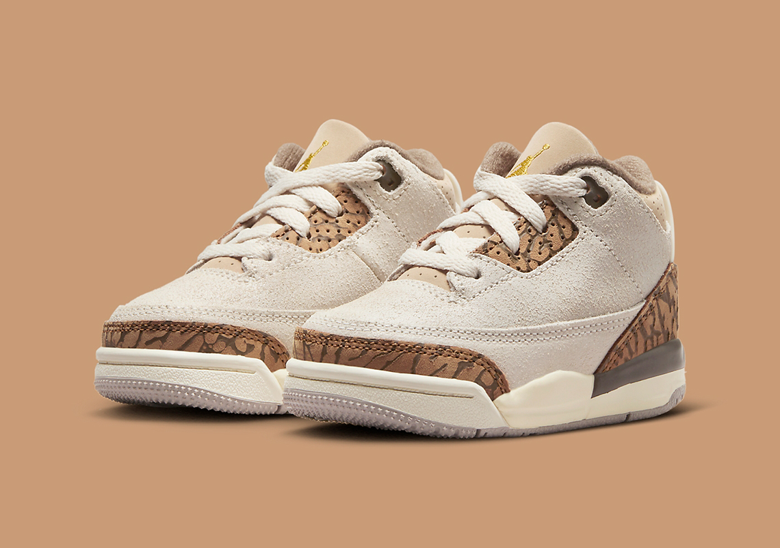 Air Jordan 3 Td Palomino Dm0968 102 4