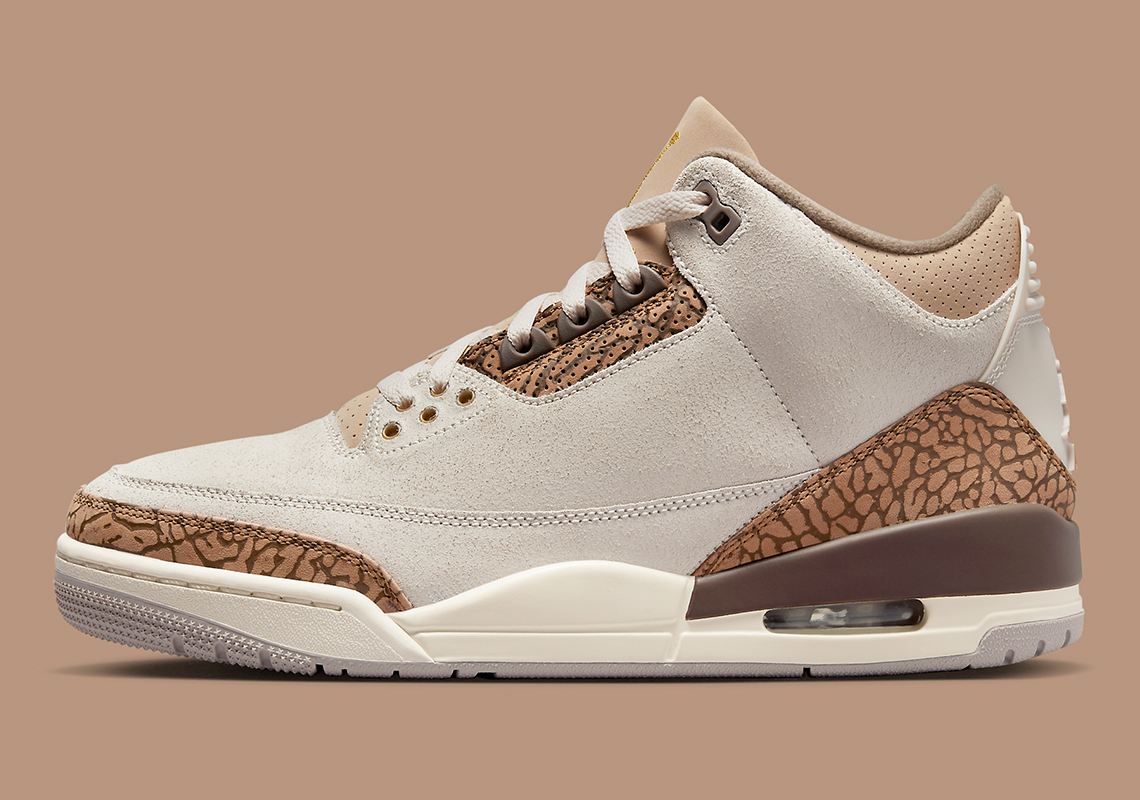 Air Jordan 3 Palomino CT8532-102 Release Date