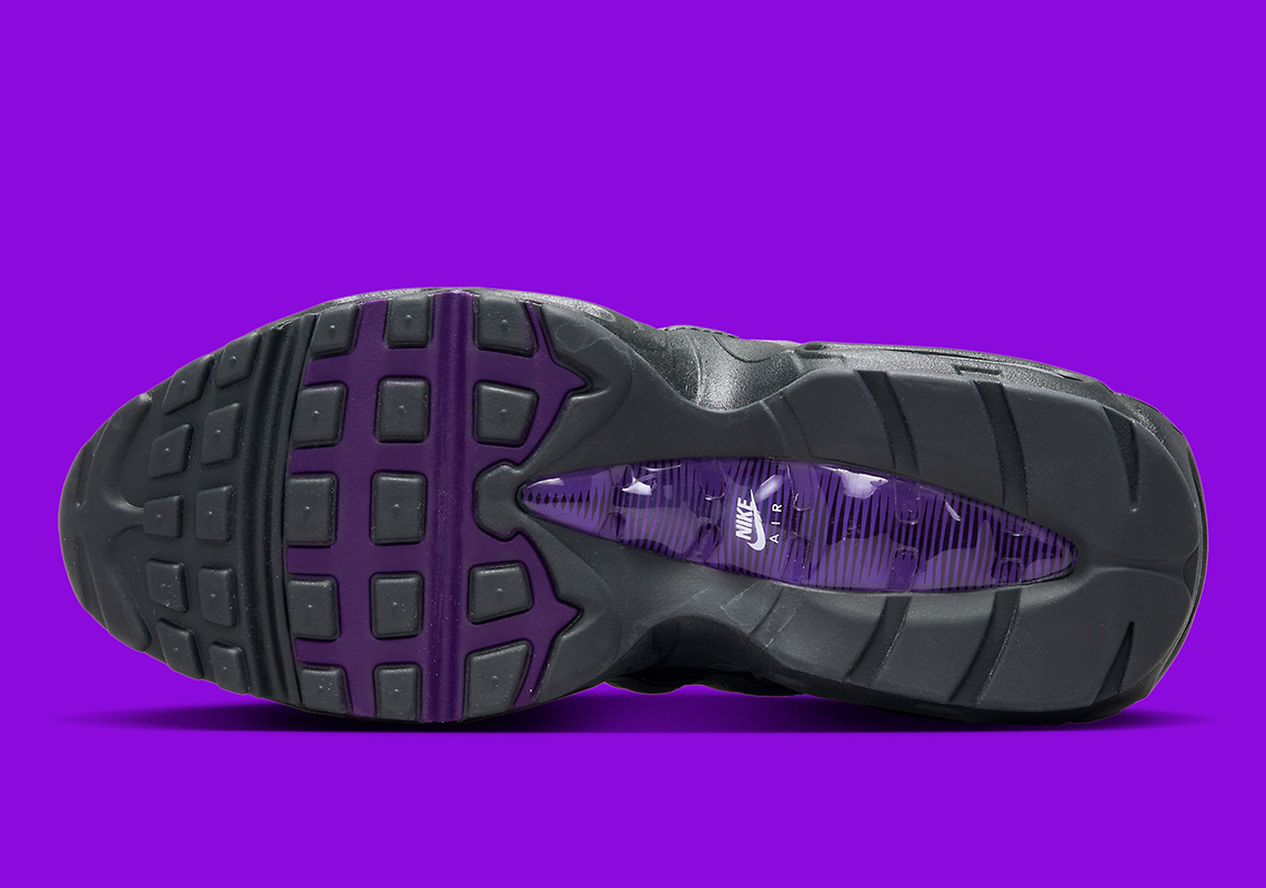 Purple air 2024 max 95