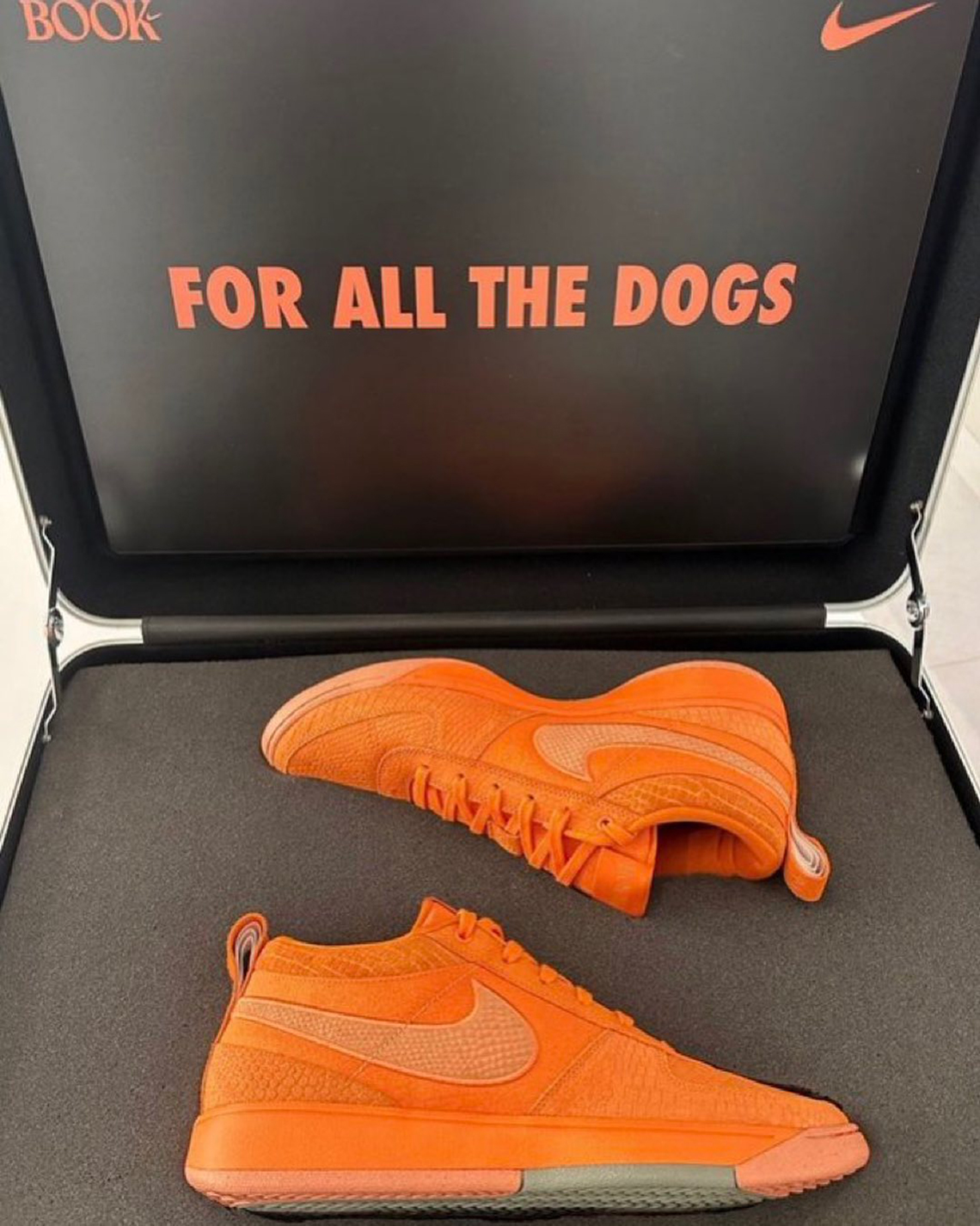Nike Book 1 For All The Dogs 1