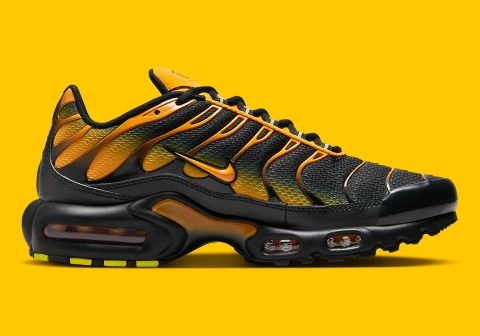 Nike Air Max Plus 