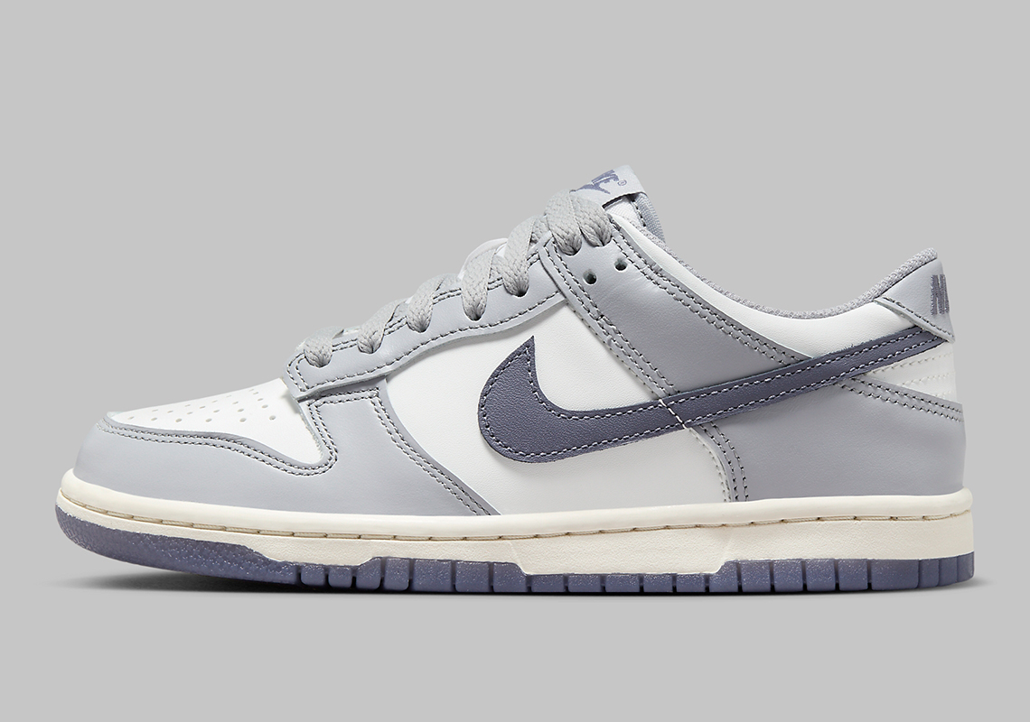 Nike Dunk Low Gs Grey White Sail Fb9109 101 5