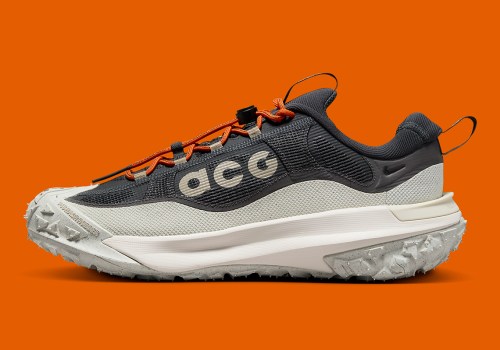 The Nike ACG Mountain Fly Low 2 Gore-Tex | SneakerNews.com