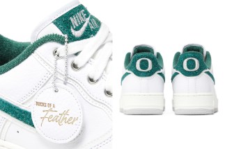 nike air force 1 low ducks of a feather division street 2
