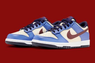 nike dunk low gs from nike to you fv8119 161 3