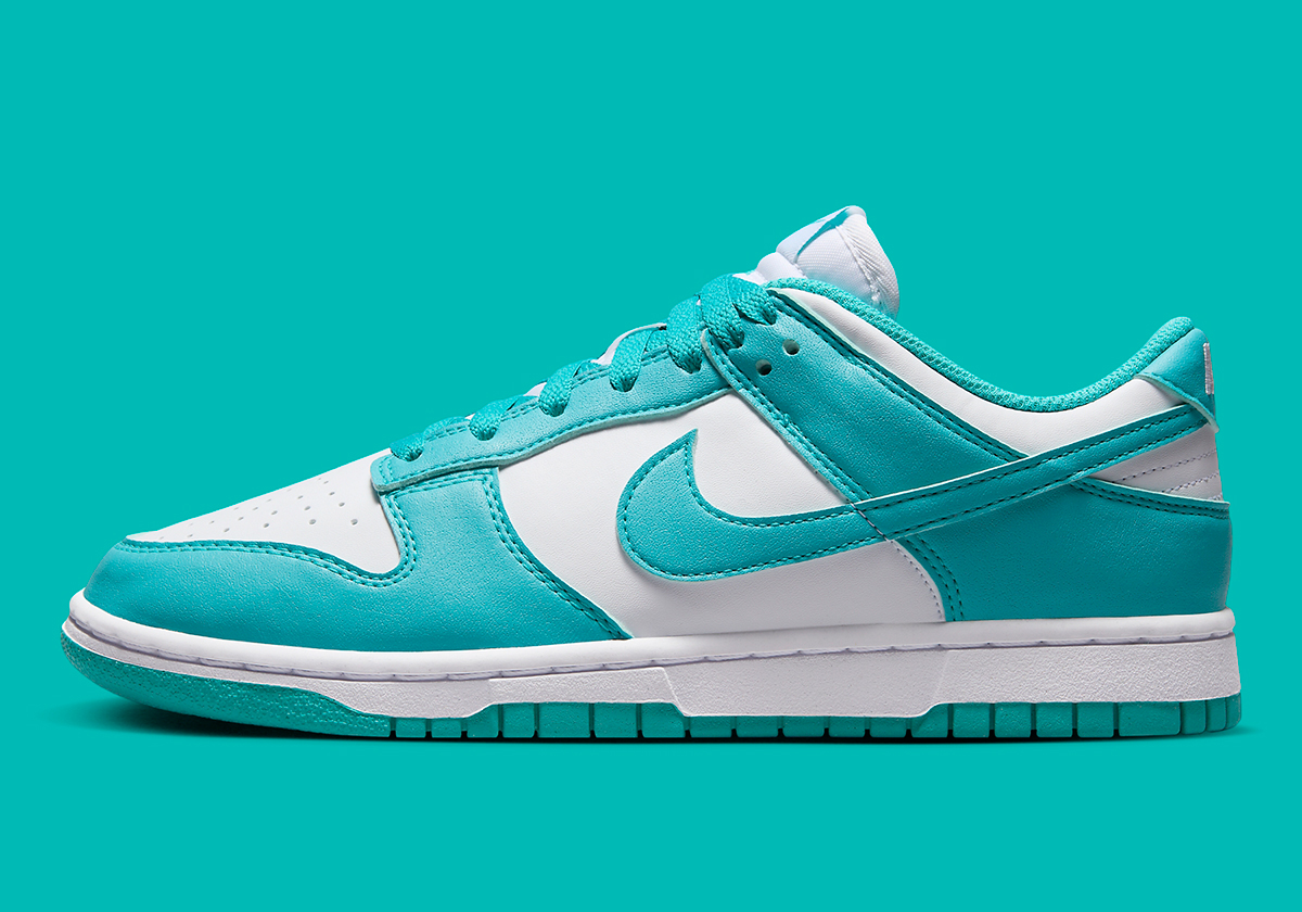 Nike Dunk Low Next Nature Dusty Cactus Dd1873 105 4