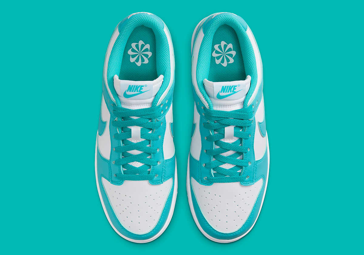 dusty cactus nike