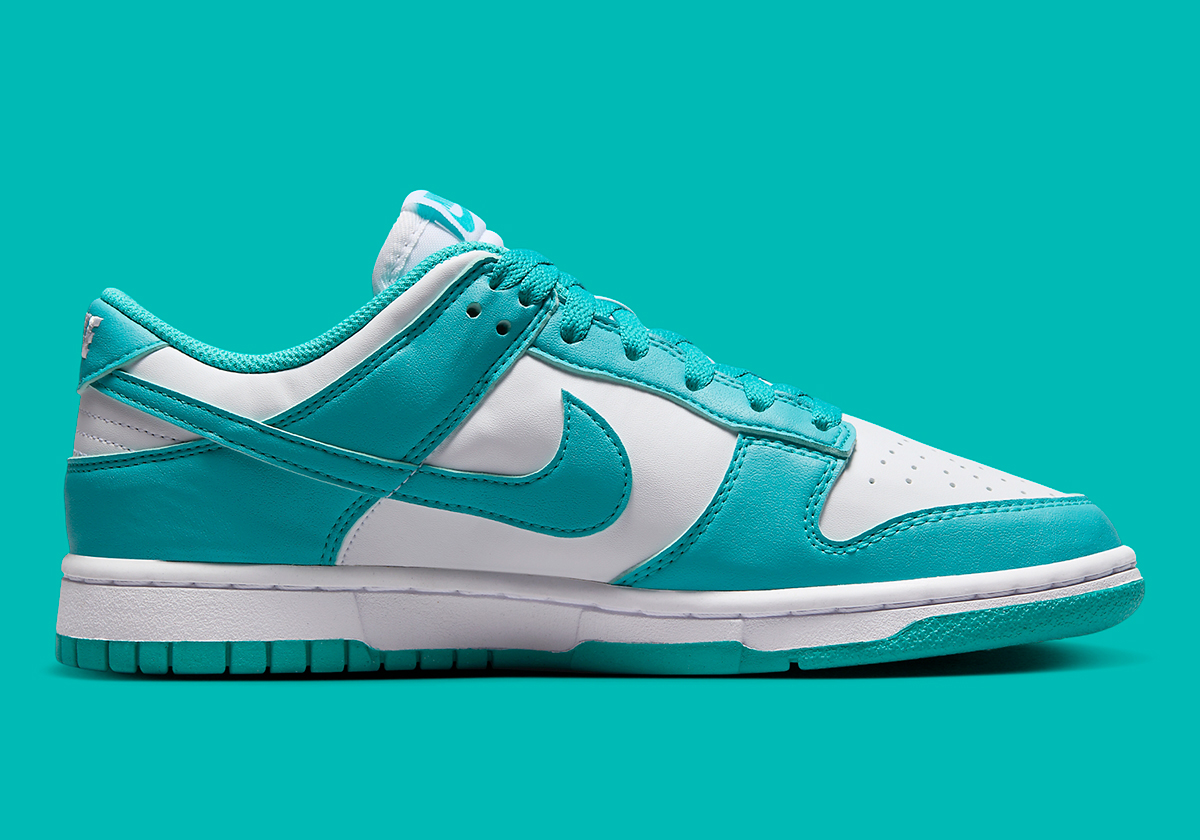 Nike Dunk Low Next Nature Dusty Cactus Dd1873 105 9