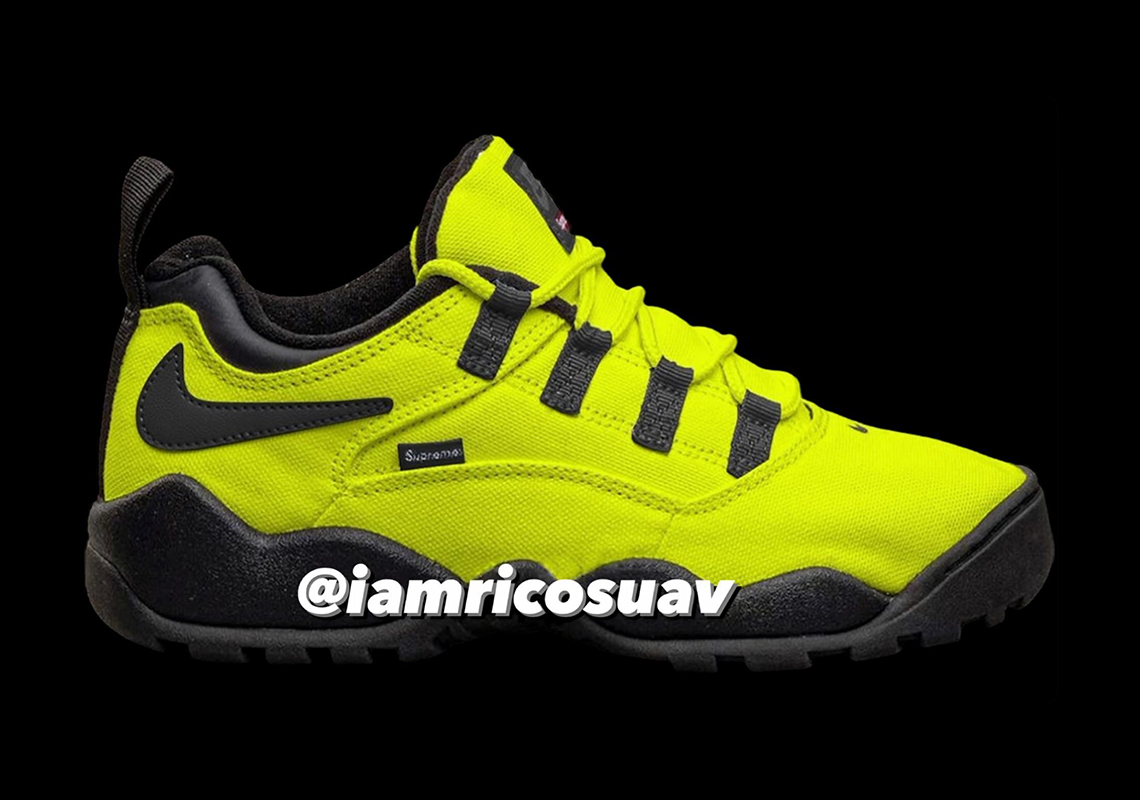 Supreme Nike Sb Darwin Neon Green