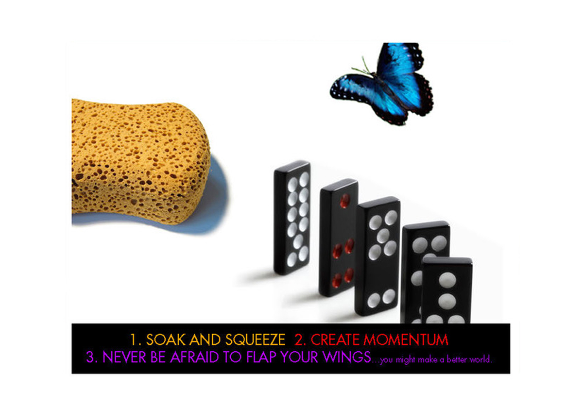 Aaron Sponges Dominos Butterflies 0
