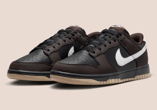 Between Mocha & Reverse Panda Is The Nike Dunk Low Next Nature “Velvet Brown”