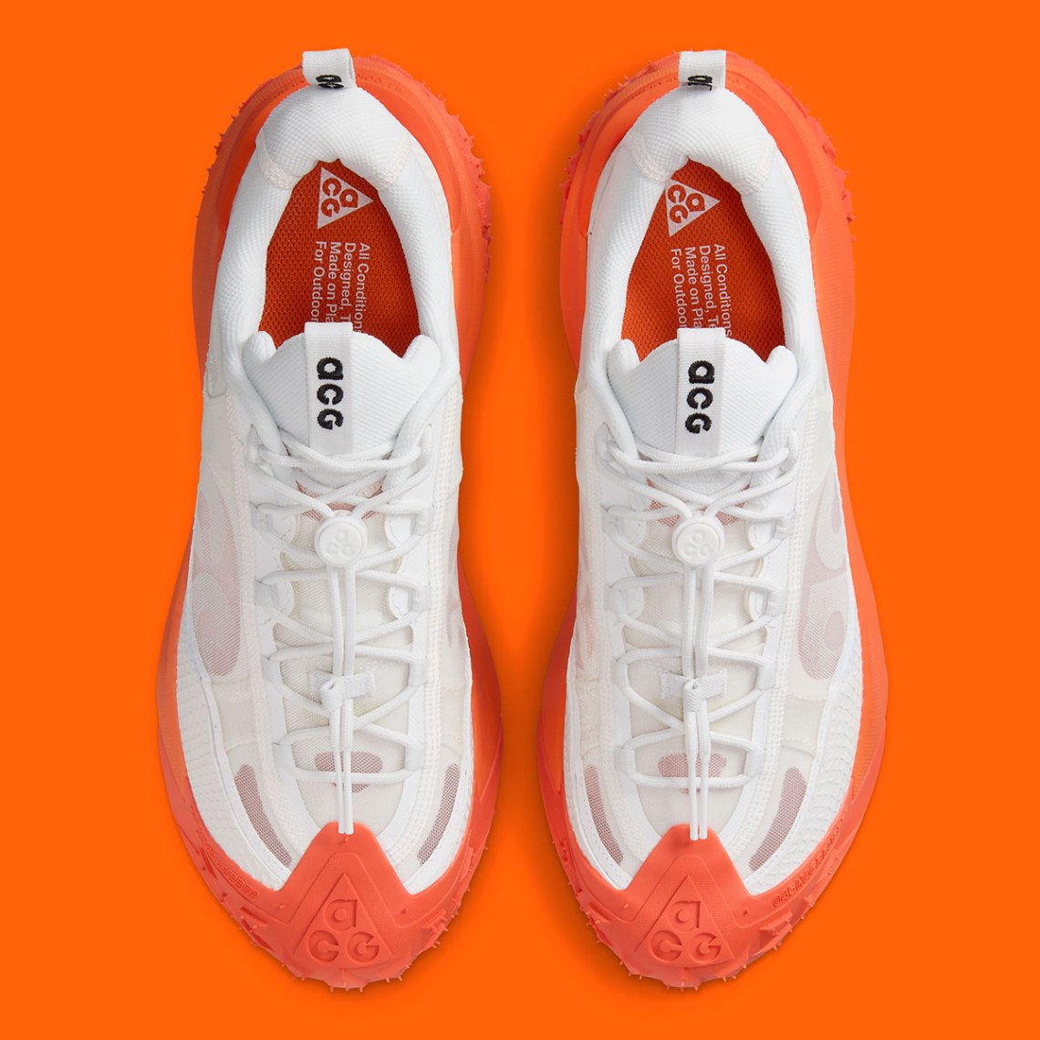 Nike ACG Mountain Fly Low 2  display picture 1