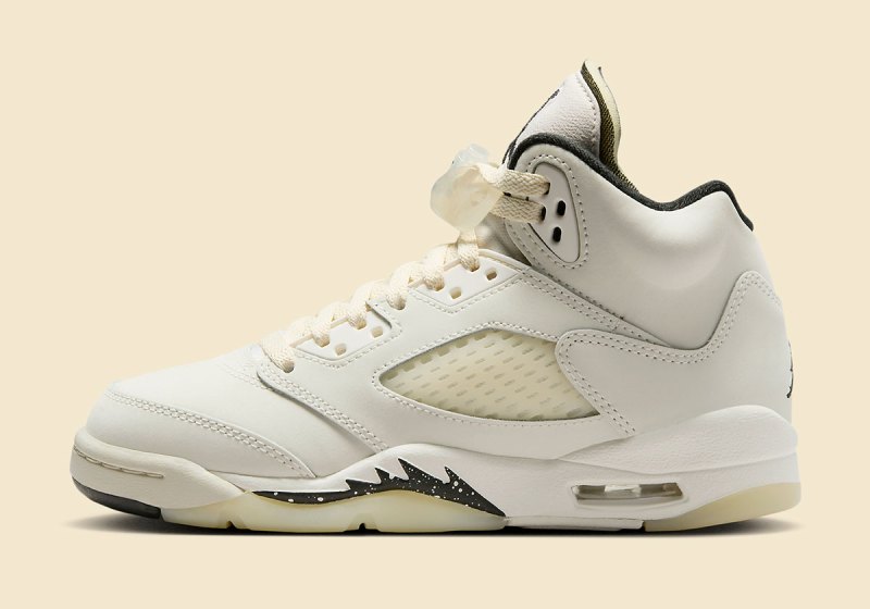 Air Jordan 5 Retro SE 