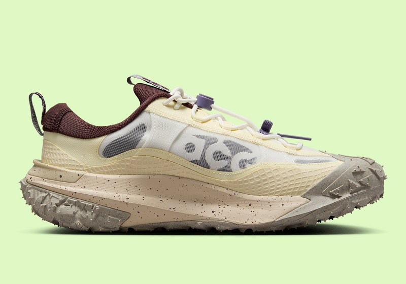 Nike ACG Mountain Fly 2 Low 