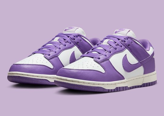 Black Raspberry Stains The Nike TROPHY Dunk Low Next Nature