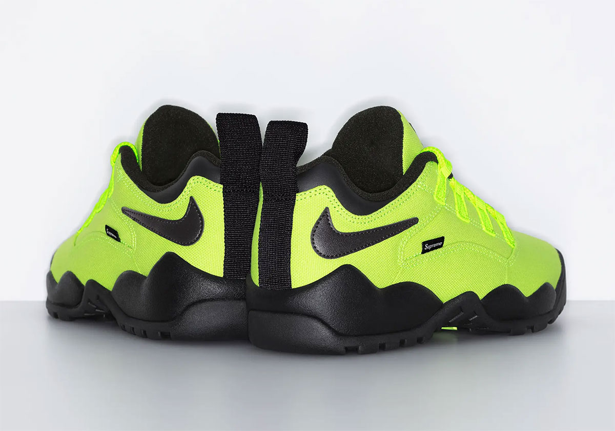 Supreme Nike Sb Darwin Low Volt Release Date 1