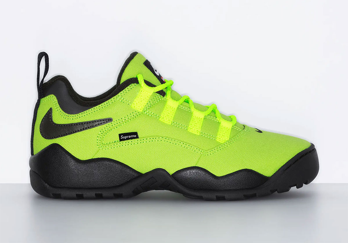 Supreme Nike Sb Darwin Low Volt Release Date 2
