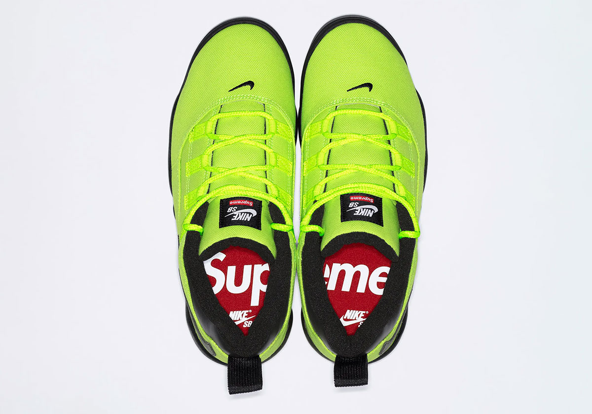 Supreme Nike Sb Darwin Low Volt Release Date 4