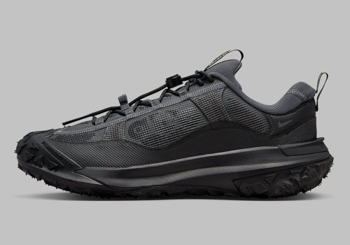 Nike ACG Mountain Fly Low 2 Gore-Tex 