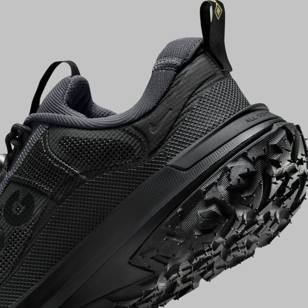 Nike ACG Mountain Fly Low 2 Gore-Tex 