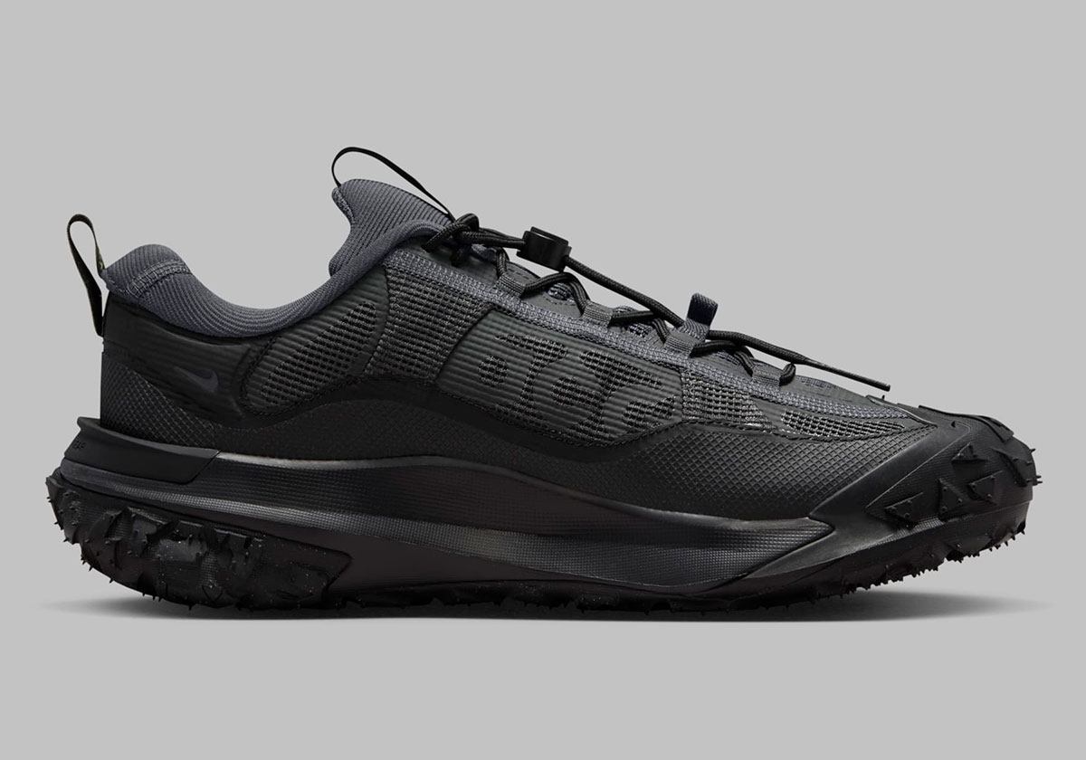 Nike ACG Mountain Fly Low 2 Gore-Tex 