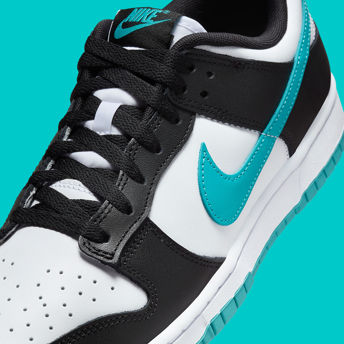 nike cheap dunk all editions shoes free youtube women Black White Dusty Cactus Dv0833 109 4