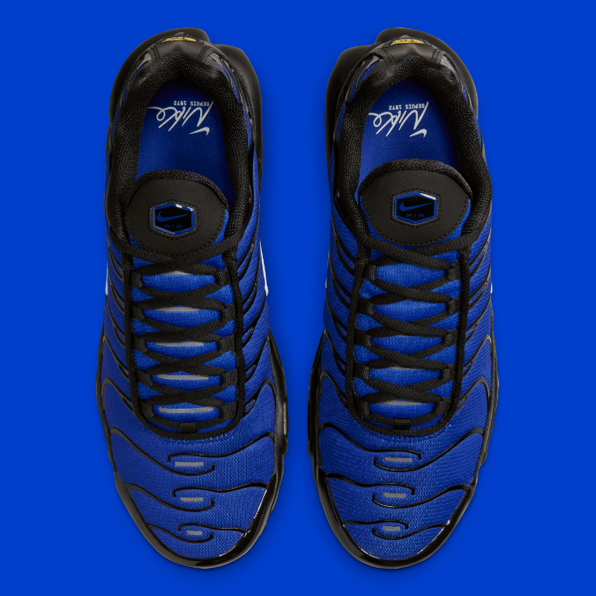Nike Air Max Plus Black Racer Blue Obsidian Phantom Fq7331 001 3