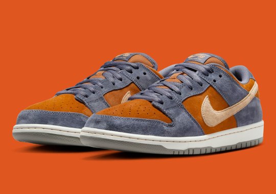 Official Images Of The Nike SB Dunk Low “Light Carbon”