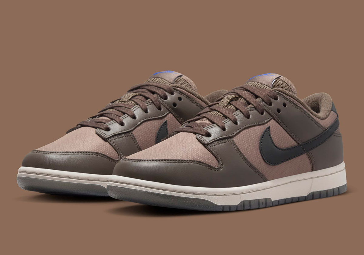 Nike Dunk Low Ironstone Anthracite Mink Brown Fz2552 001 4