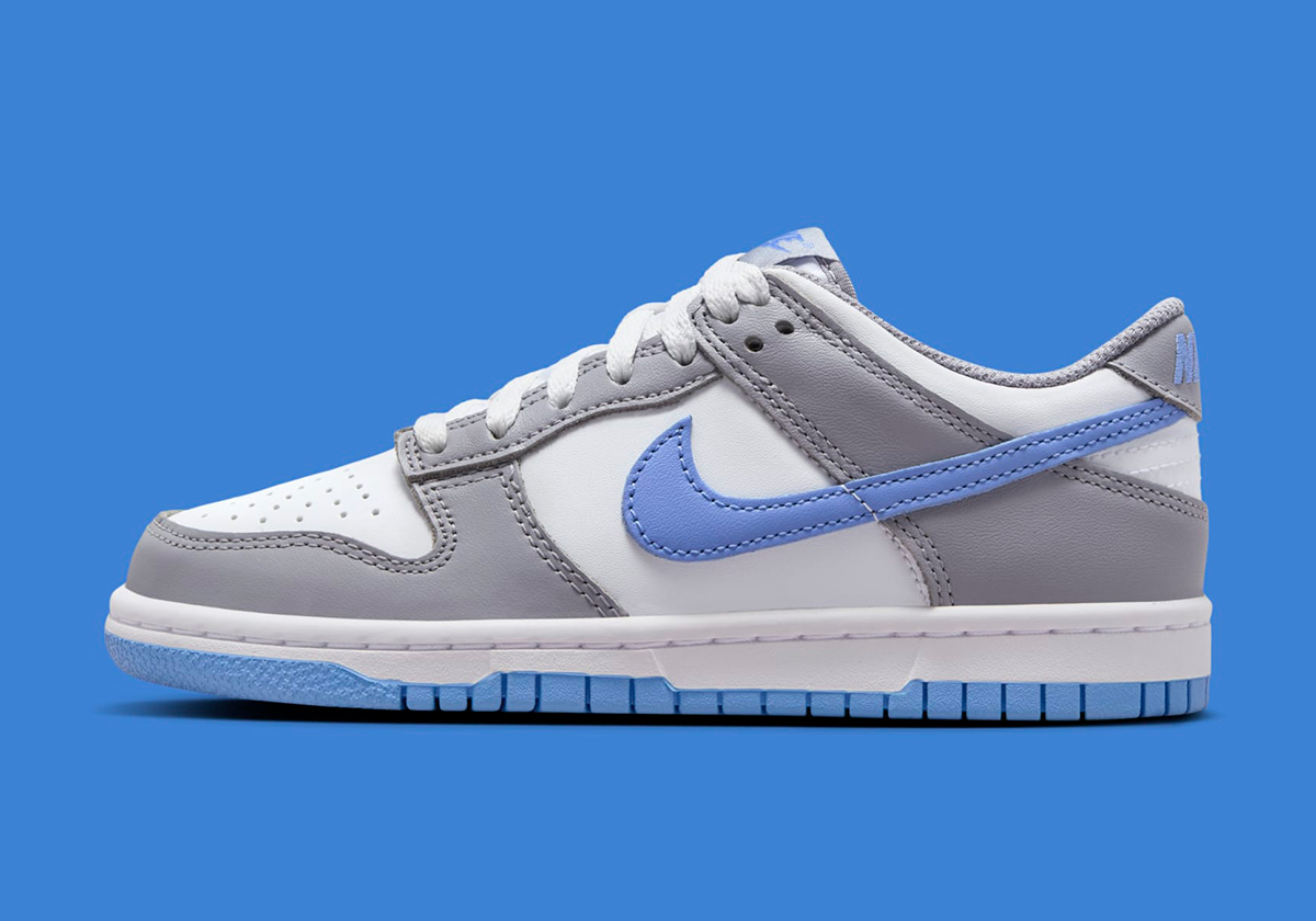 Nike Dunk Low Summit White Cement Grey Royal Pulse Fb9109 121 5