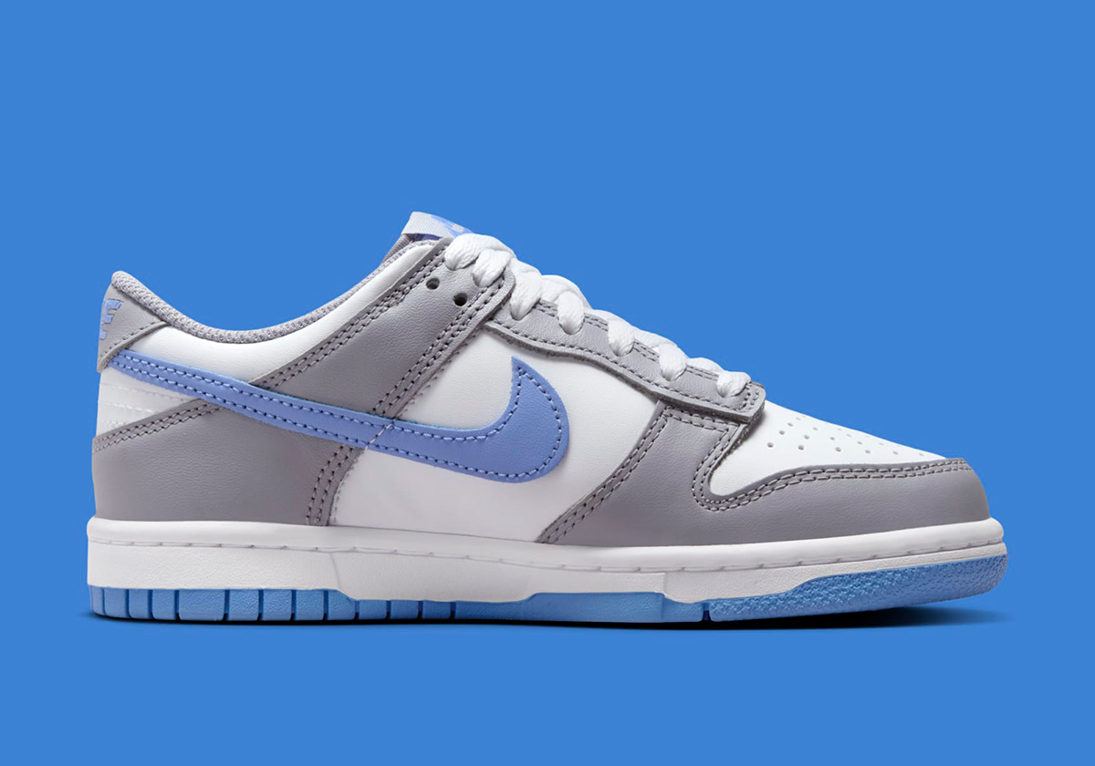 Nike Dunk Low Summit White Cement Grey Royal Pulse Fb9109 121 7