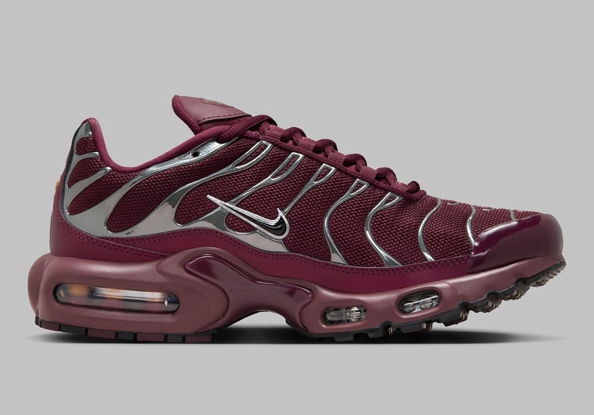 Nike Air Max Plus Burgundy Silver 2