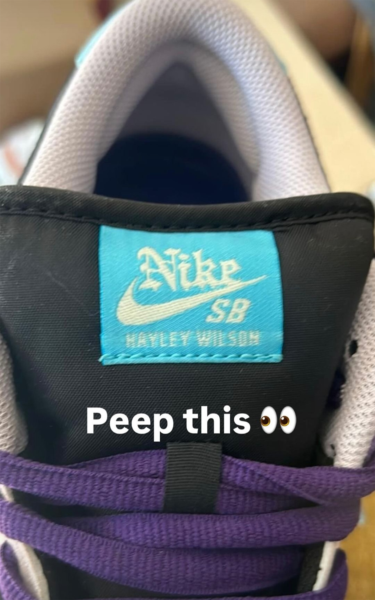 Hayley Wilson Nike Sb Dunk Low Hj0513 500 2