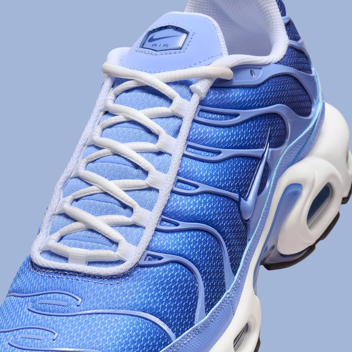 Nike Air Max Plus Royal Pulse Deep Royal Blue Dm0032 403 4