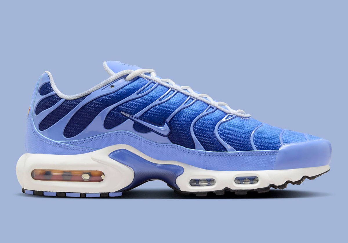 Nike Air Max Plus Royal Pulse Deep Royal Blue Dm0032 403 6