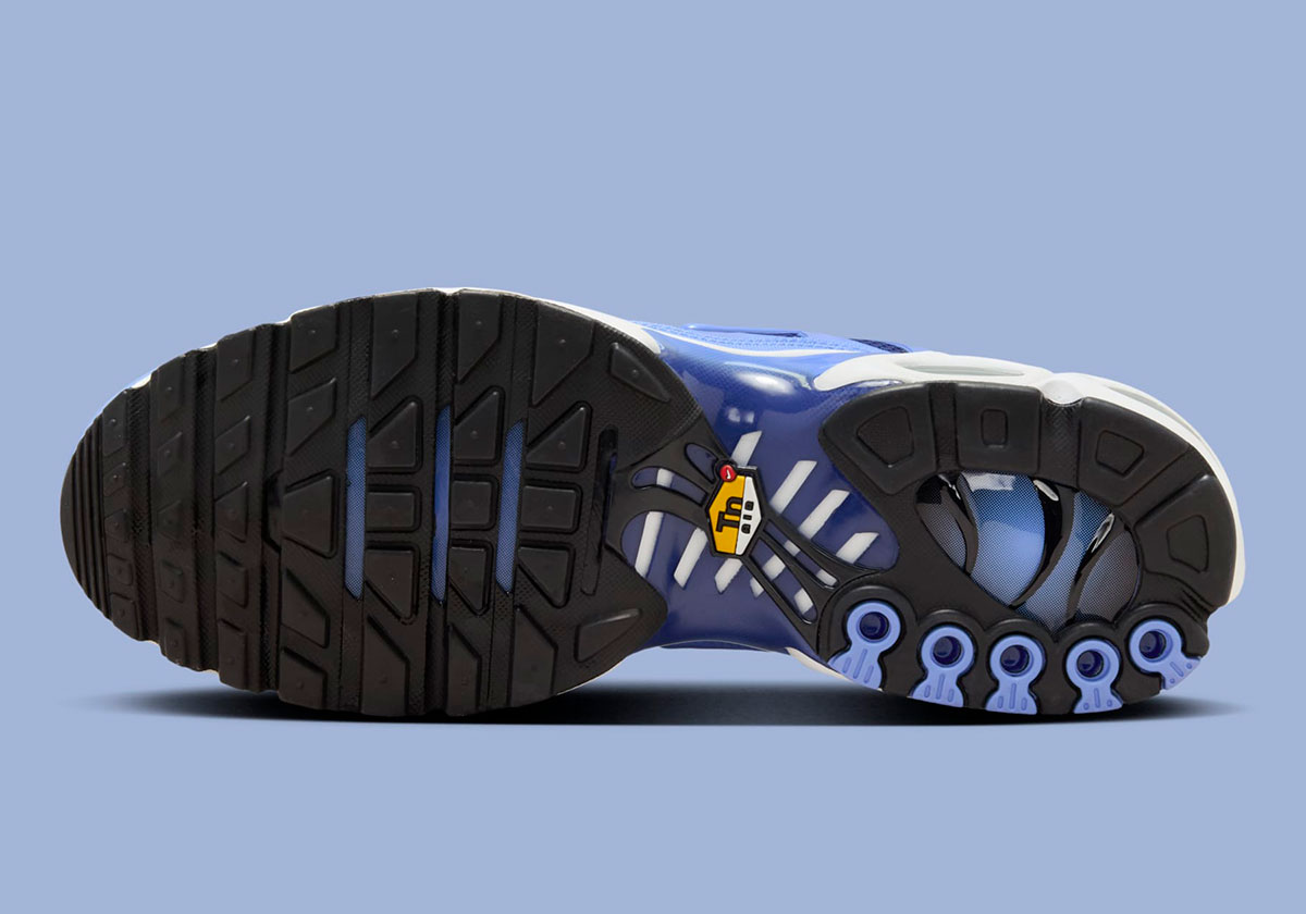 Nike Air Max Plus Royal Pulse Deep Royal Blue Dm0032 403 7