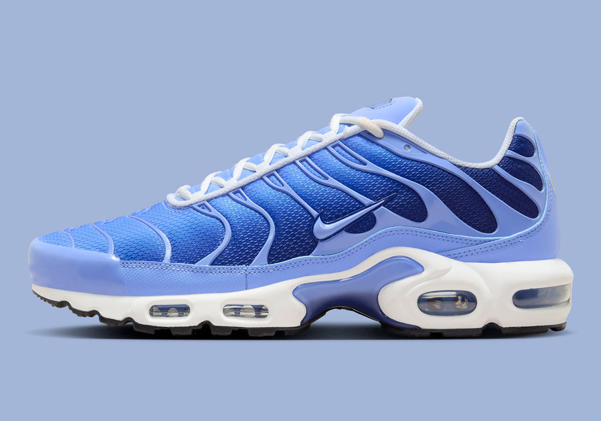 Nike Air Max Plus Royal Pulse Deep Royal Blue Dm0032 403 8