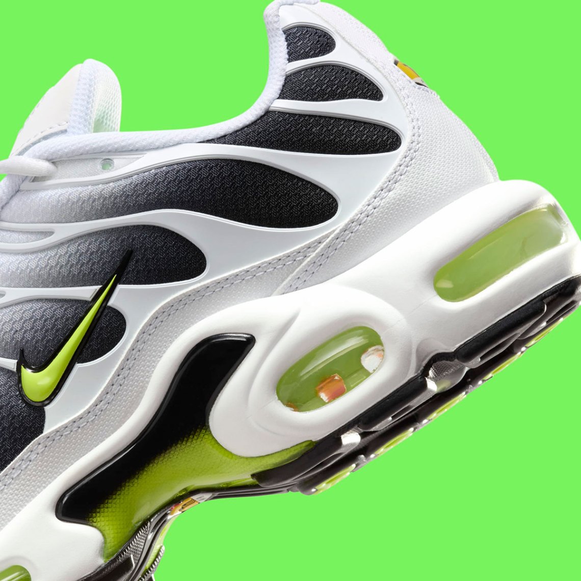 Nike Air Max Plus  display picture 1